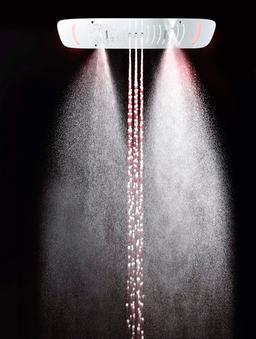 Ceiling shower