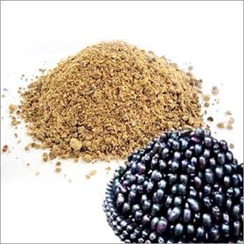 Grandmaa Agro Jamun Seed Powder (India BlackBerry Seed Powder) 