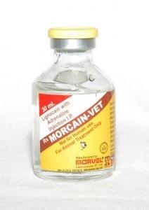 Lignocaine with Adrenaline (INJ. MORCAIN)