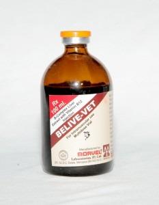 Vitamin B-complex, D. Panthenol, Choline Chloride & Crude Liver (INJ. BELIVE VET)