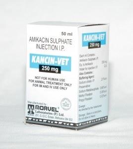 Amikacin 250 mg (INJ. KANCIN-250MG VET)