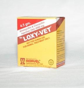Amoxycillin & Cloxacillin (INJ. LOXY VET)