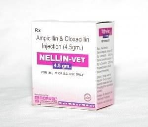 Ampicillin & Cloxacillin (INJ. NELLIN VET)