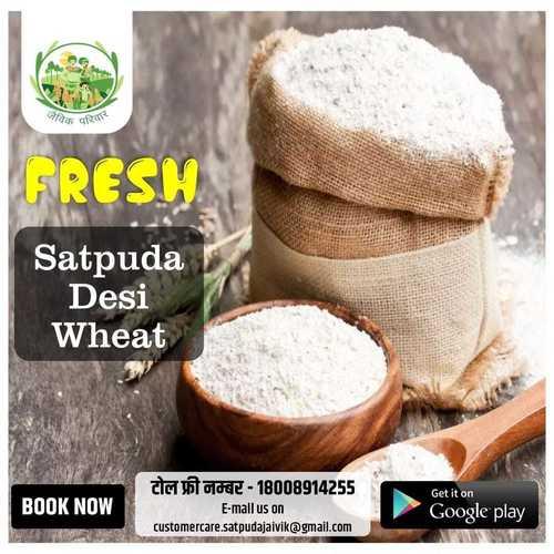Satpuda Desi wheat