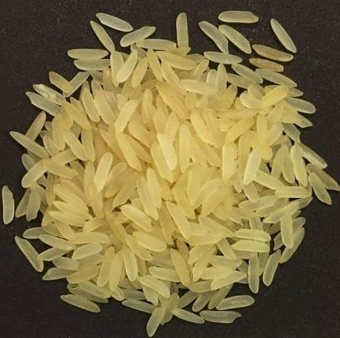 PR-11 Golden Basmati Rice