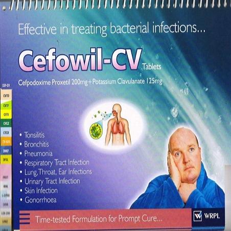 CEFOWIL - CV
