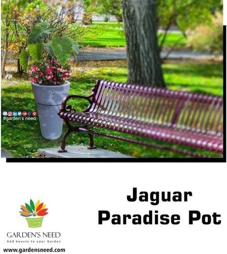Jaguar Paradise Pot