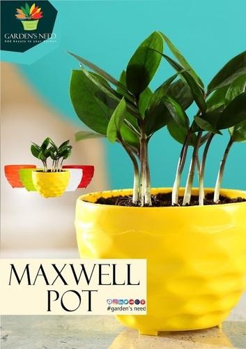 Maxwell Pot