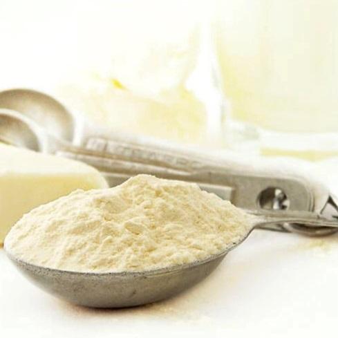  Food Ingredients - White Cheese Powder