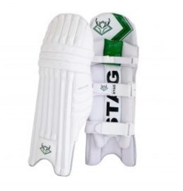 Stag Cricket Gears