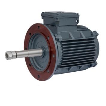 COOLING TOWER 3 PHASE INDUCTION MOTOR