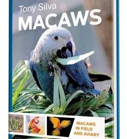 Macaw By Tony Silva