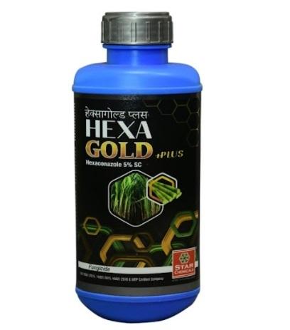 Hexa Gold