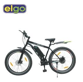E-Cycle (Model T300)