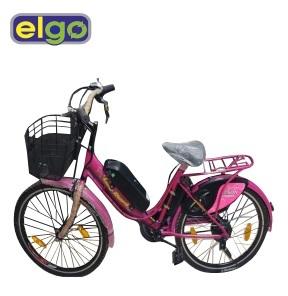 E-Cycle (Model LB200)