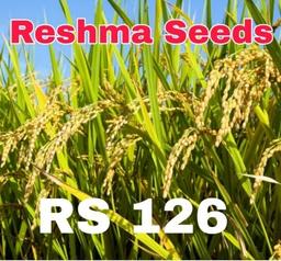 RS 126 Natural Paddy Seeds