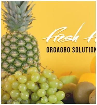 Organic Fruit Drink