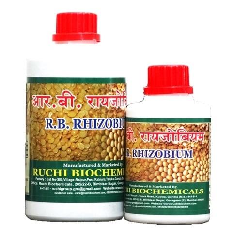 Rhizobium Bio Fertilizer