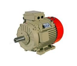 Low Voltage Motors: Ravi Series