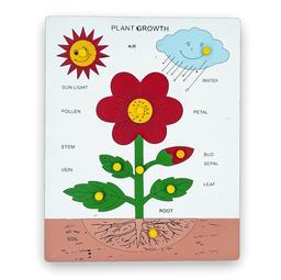 Plant Growth Puzzle