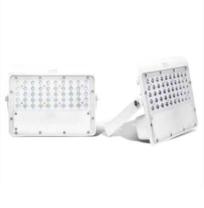 LED Flood Light - Star Series(100 W)-Eco