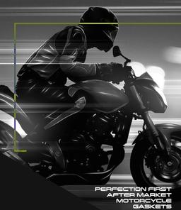 Perfection First After Market Motorcycle Gaskets