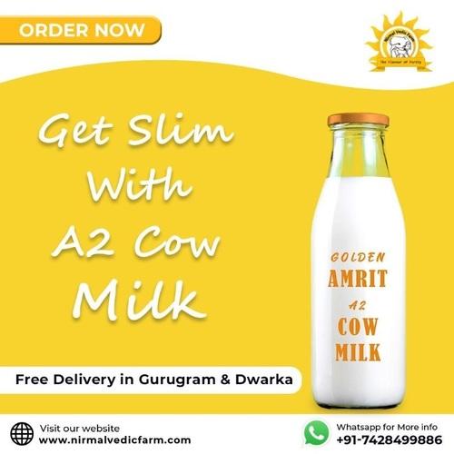 Golden Amrit A2 cow milk