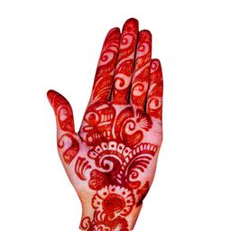 Hands with Red cherry mehendi