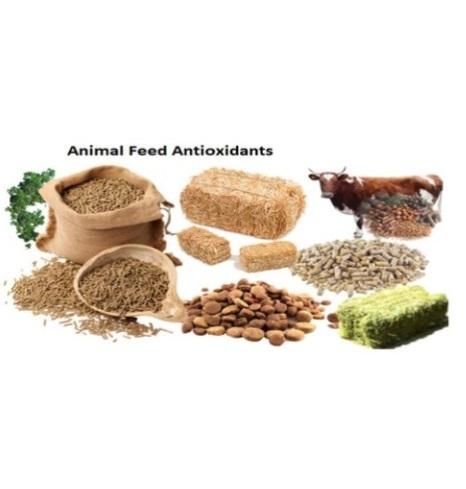 Cattle Feed Supplements Manufacturer