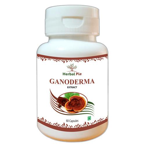 Ganoderma Extract Capsules