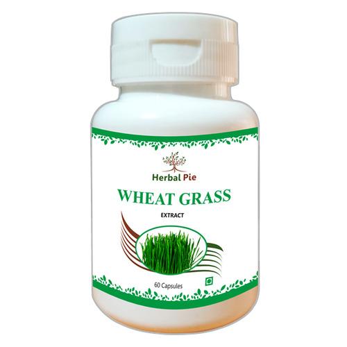 Wheat Grass Extract Capsules