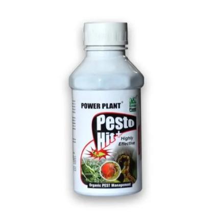 Plant Pesto Hit Plus Pesticide