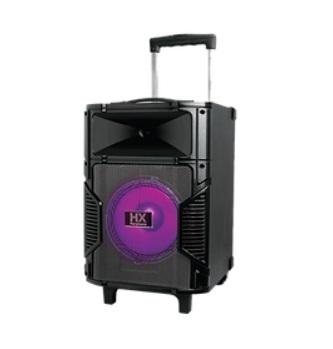 Trolley Speaker HX-308WD