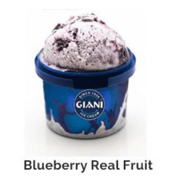 Blueberry Real Fruit