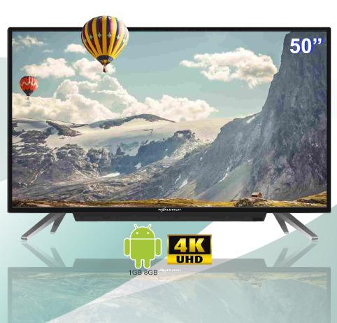 LED TELEVISIONS (WT - 5018SM / 18)