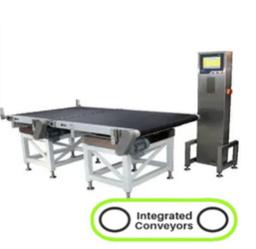 Online Check weigher Belt Conveyor 
