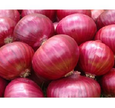 Red Onion 