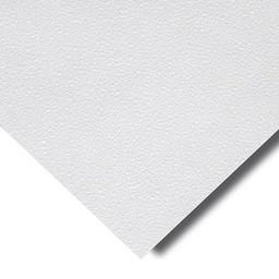 Dew Drop Gypsum Ceiling Tile