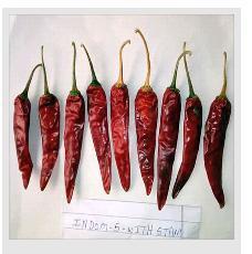 Dried red Chilli
