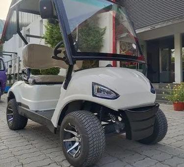 2 Seater Golf Cart