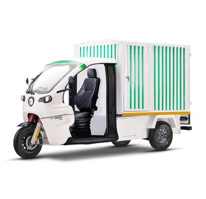 Electric Cargo Vehicle