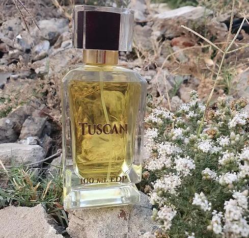 Fragrance And Fashion Tuscan Perfume 100ml