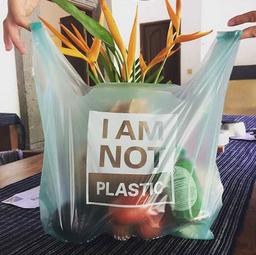 Compostable Non Plastic Bag