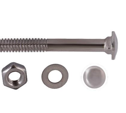 SS Carriage bolt with SS nut & washer