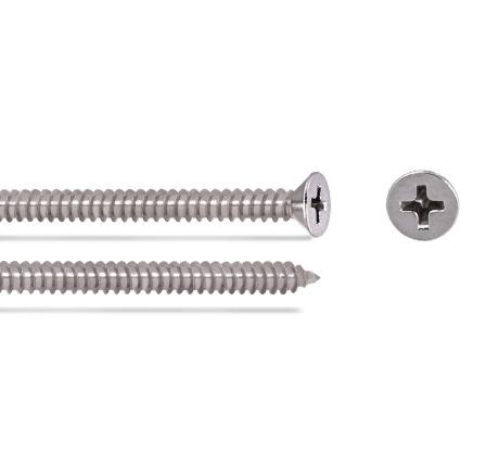 SS Csk Phillips Self Tapping Screw