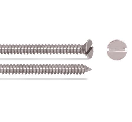 SS Csk Slotted Self Tapping Screw