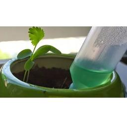 Egostick Plant Activator