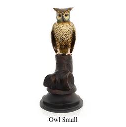 Copper Owl