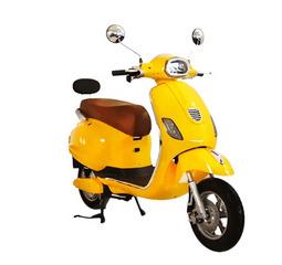 Gamma Pro EV Scooty