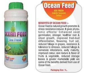 Ocean Feed